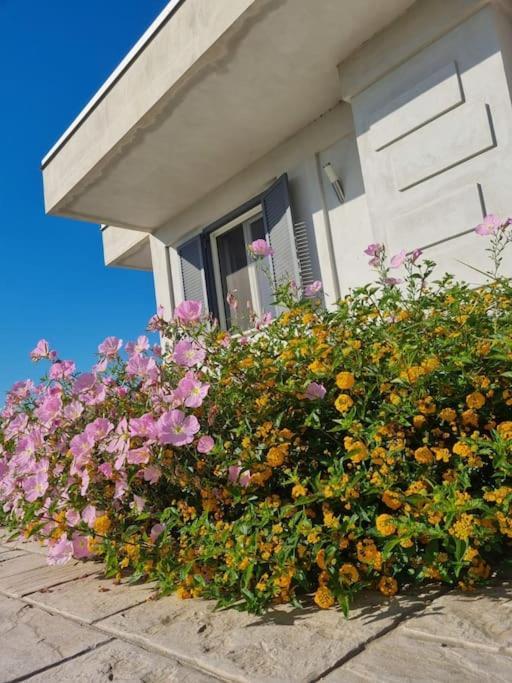 Gramp House Casa Vacanze Cellole Exterior foto